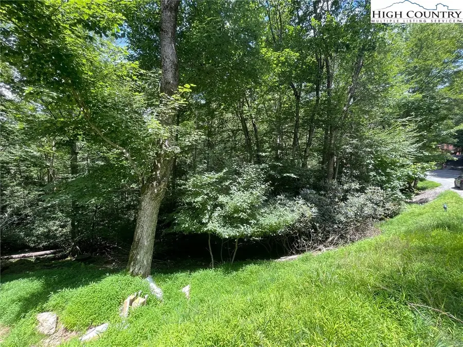 252 Greenbriar Road, Beech Mountain, NC 28604 - Image #2