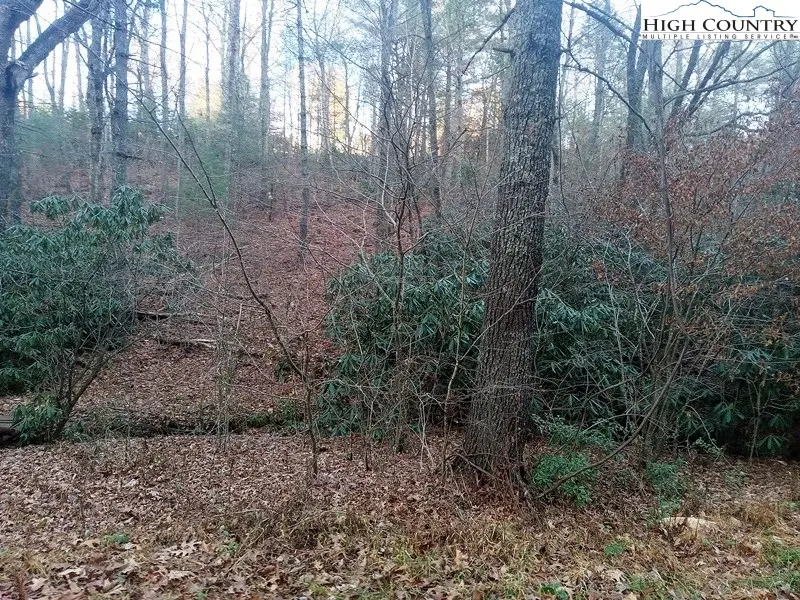 TBD Windy Hill Road, Fleetwood, NC 28626 - Image #3