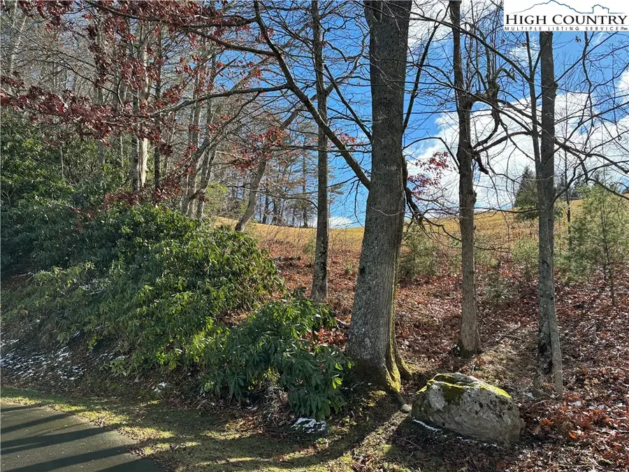 Lots 12 & 13 Gable Farm Road, Boone, NC 28607 - Image #3