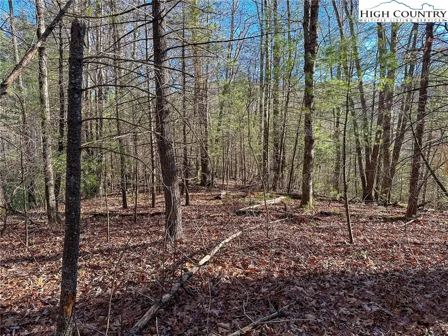 TBD Hidden Spring Extension, West Jefferson, NC 28694 - Image #3