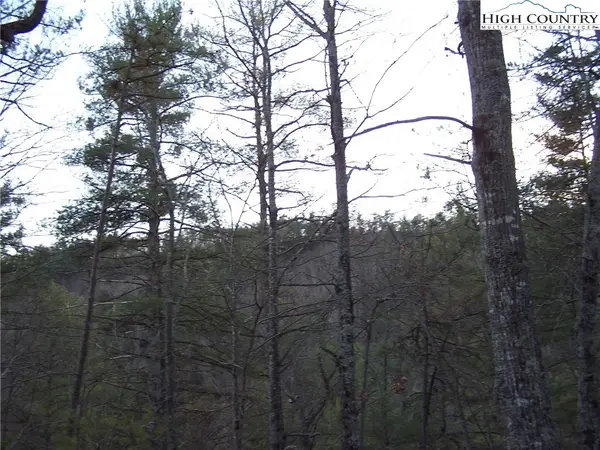 TBD Roaring Ridge Road, Deep Gap, NC 28618