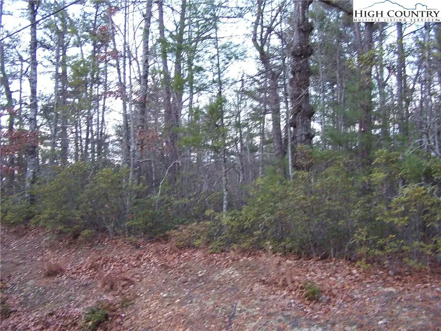 TBD Roaring Ridge Road, Deep Gap, NC 28618 - Image #2