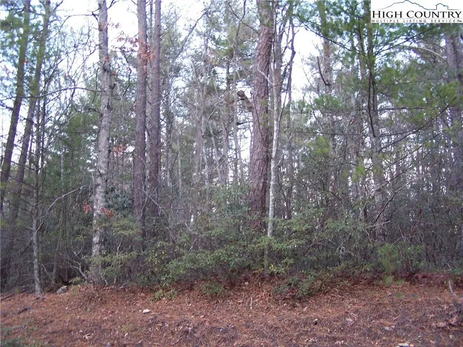 TBD Roaring Ridge Road, Deep Gap, NC 28618 - Image #3
