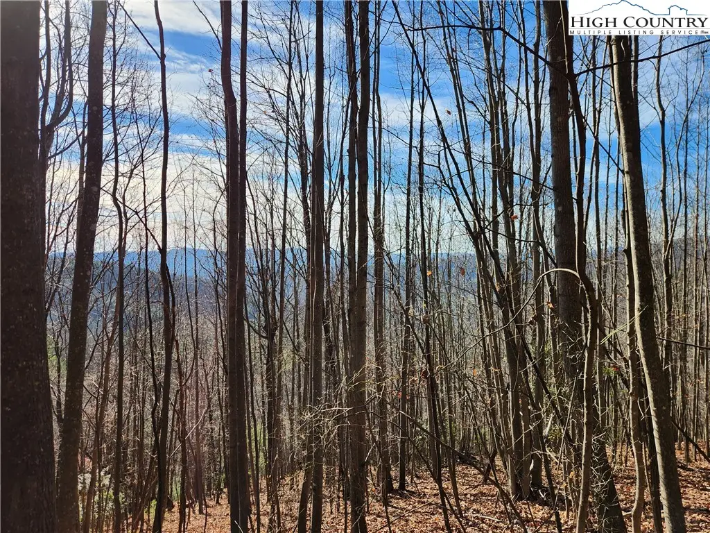 6900 Mertie Road, Millers Creek, NC 28651 - #1