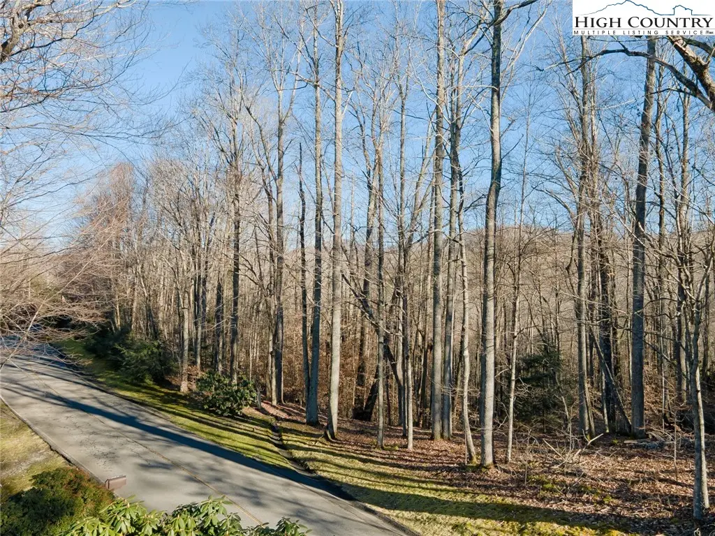 Lot 52 Raven Ridge Road, Banner Elk, NC 28604 - Image #1