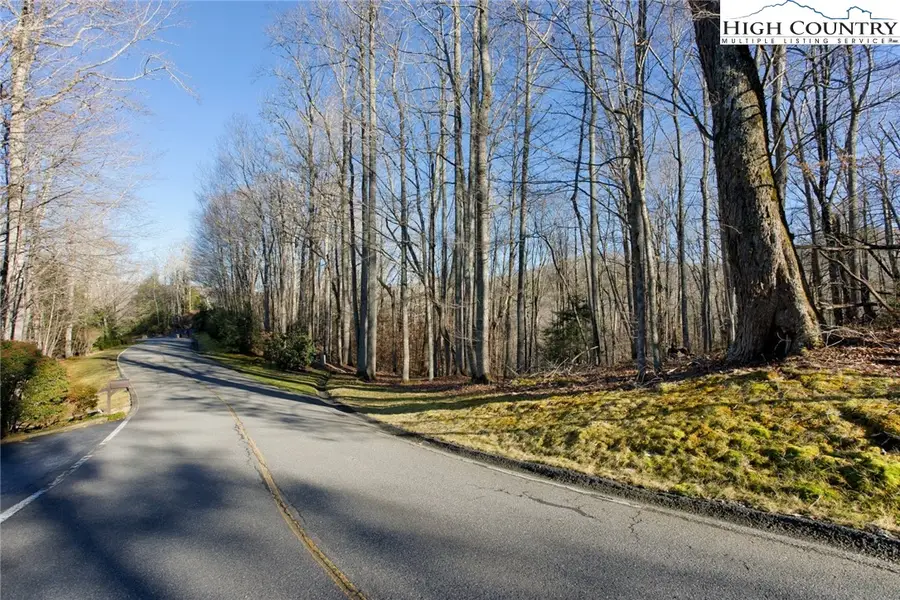 Lot 52 Raven Ridge Road, Banner Elk, NC 28604 - Image #3