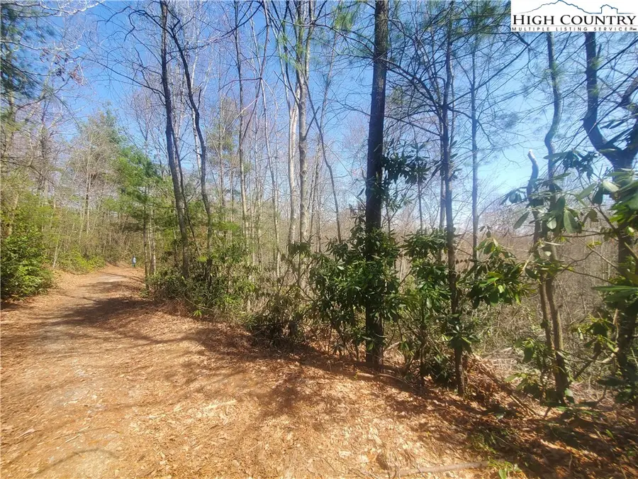 TBD Falcon Ridge Trail, West Jefferson, NC 28694 - Image #2