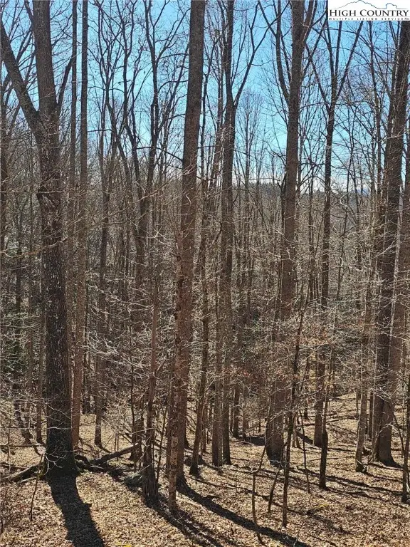 TBD Happy Berry Drive, Grassy Creek, NC 28631 - Image #3