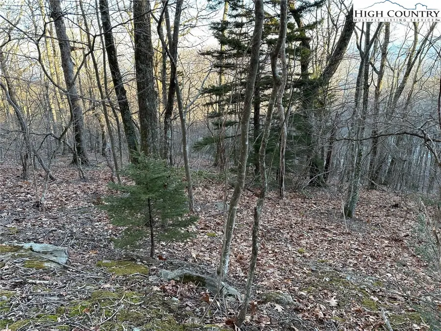 24 Hermitage Lane, Blowing Rock, NC 28605 - Image #3