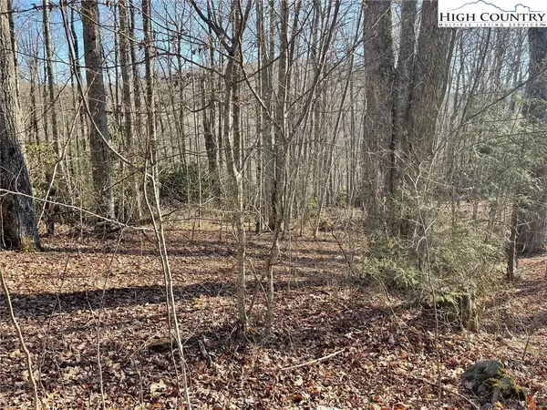 14 Jackson Ridge Road, Boone, NC 28607