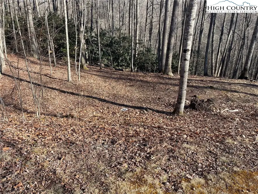 14 Jackson Ridge Road, Boone, NC 28607 - Image #2