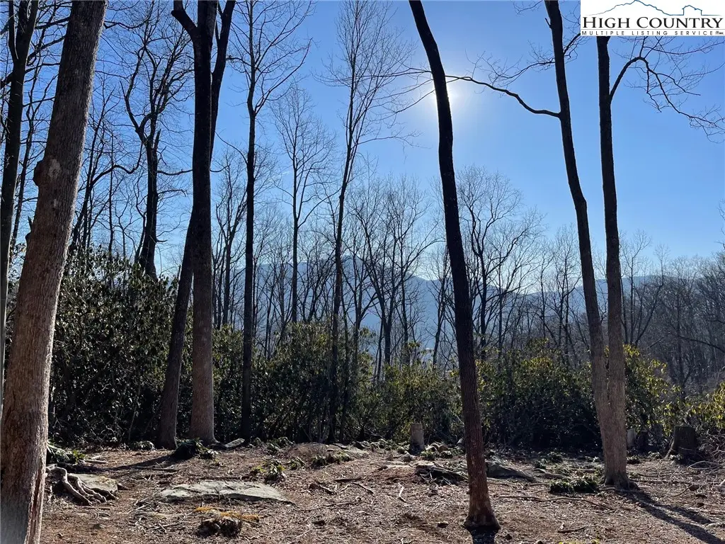 17 Jackson Ridge Road, Boone, NC 28607 - Image #1