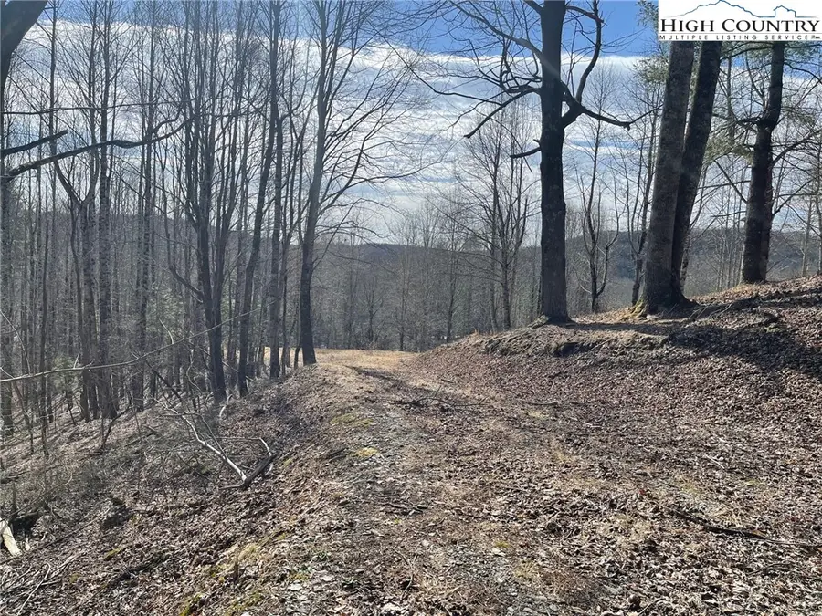 10 Jackson Ridge Road, Boone, NC 28607 - Image #2