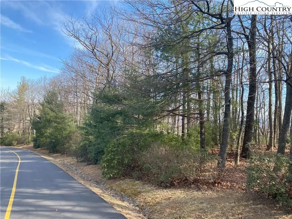 TBD Troon Avenue #178, Roaring Gap, NC 28668 - Image #1