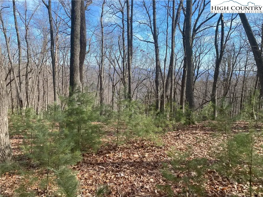 TBD Troon Avenue #178, Roaring Gap, NC 28668 - Image #2