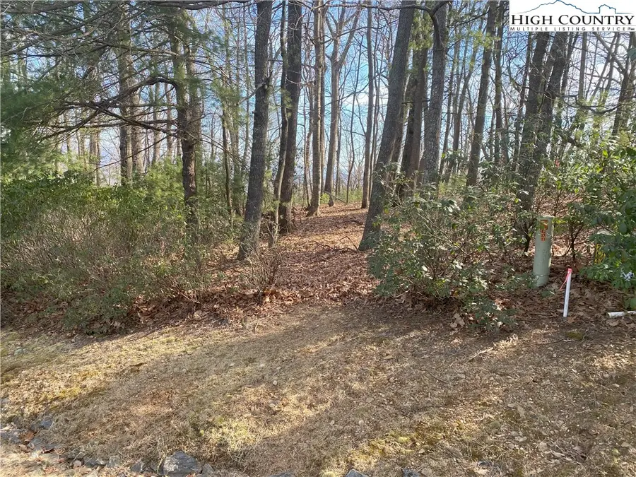 TBD Troon Avenue #178, Roaring Gap, NC 28668 - Image #3