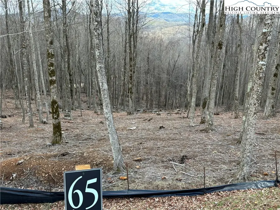 Lot 65 Poplar Forest Drive, Boone, NC 28607 - Image #2