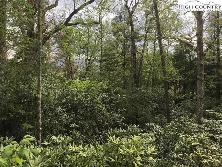Lot 10 Hemlock Court, Banner Elk, NC 28604 - Image #3