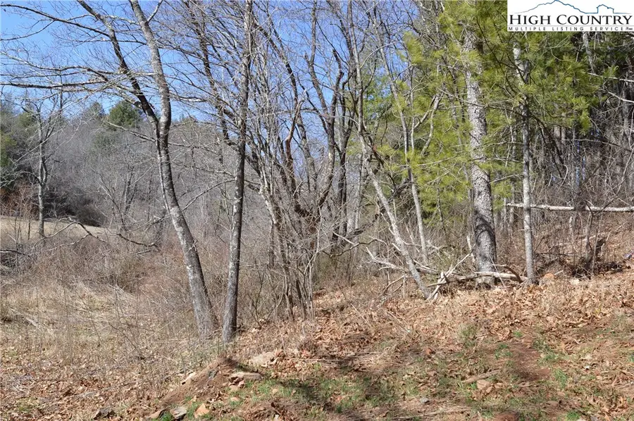 Lot 16/17/18 River Run, Sparta, NC 28675 - Image #2