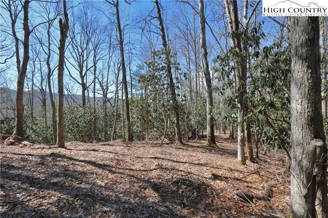 Lots 47 & 48 Abaco Drive, Vilas, NC 28692 - Image #1