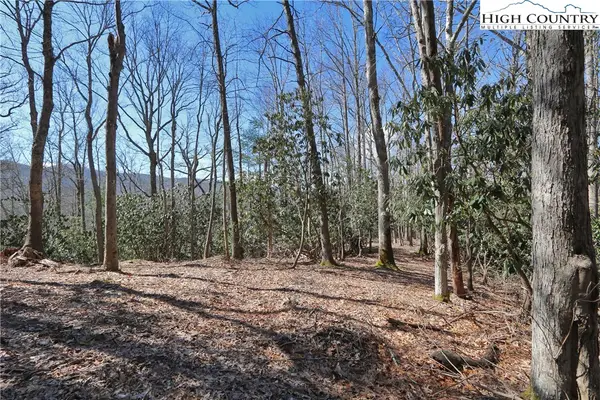 Lots 47 & 48 Abaco Drive, Vilas, NC 28692