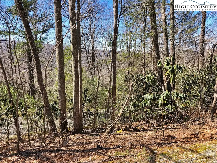 Lots 47 & 48 Abaco Drive, Vilas, NC 28692 - Image #3