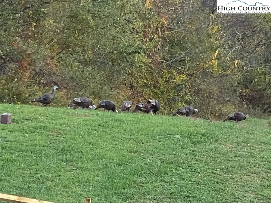 Lot #1 Twin Oaks Mountain Boulevard, Sparta, NC 28675 - Image #3