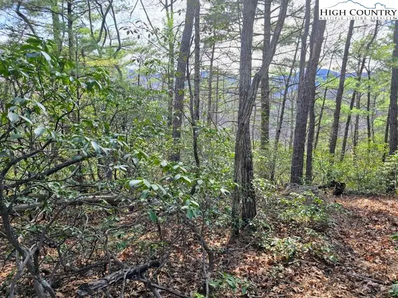 TBD Summit Rise Drive, Boone, NC 28607 - Image #2