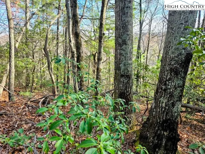 TBD Summit Rise Drive, Boone, NC 28607 - Image #3