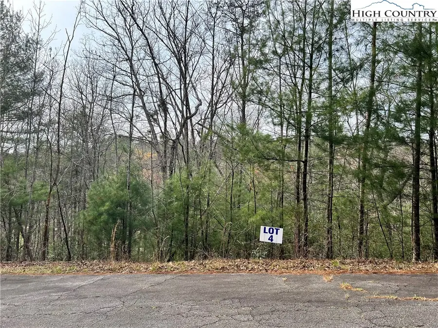 3114 Mountain Laurel Drive, Lenoir, NC 28645 - #2