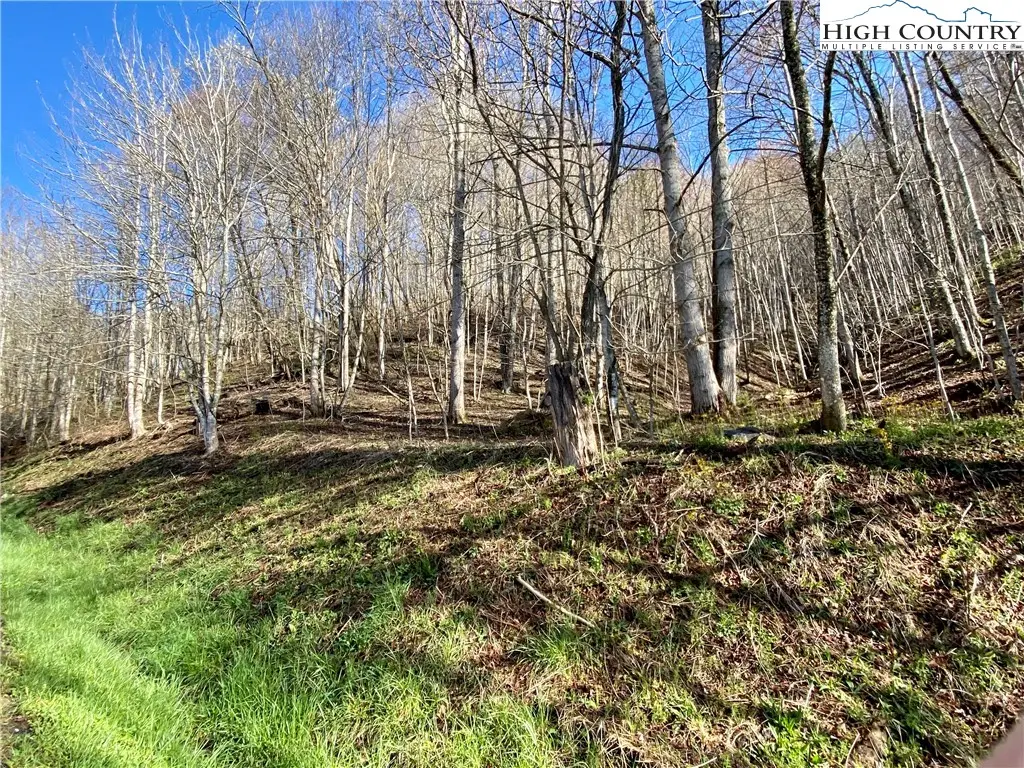 14842 Nc 226 N Highway, Bakersville, NC 28705 - Image #1