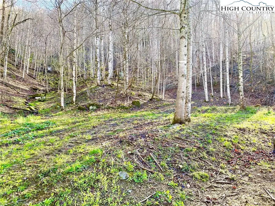 14842 Nc 226 N Highway, Bakersville, NC 28705 - Image #2