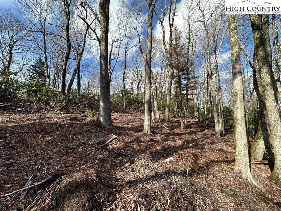 5071 Little Mountain Drive, Globe, NC 28611 - Image #2