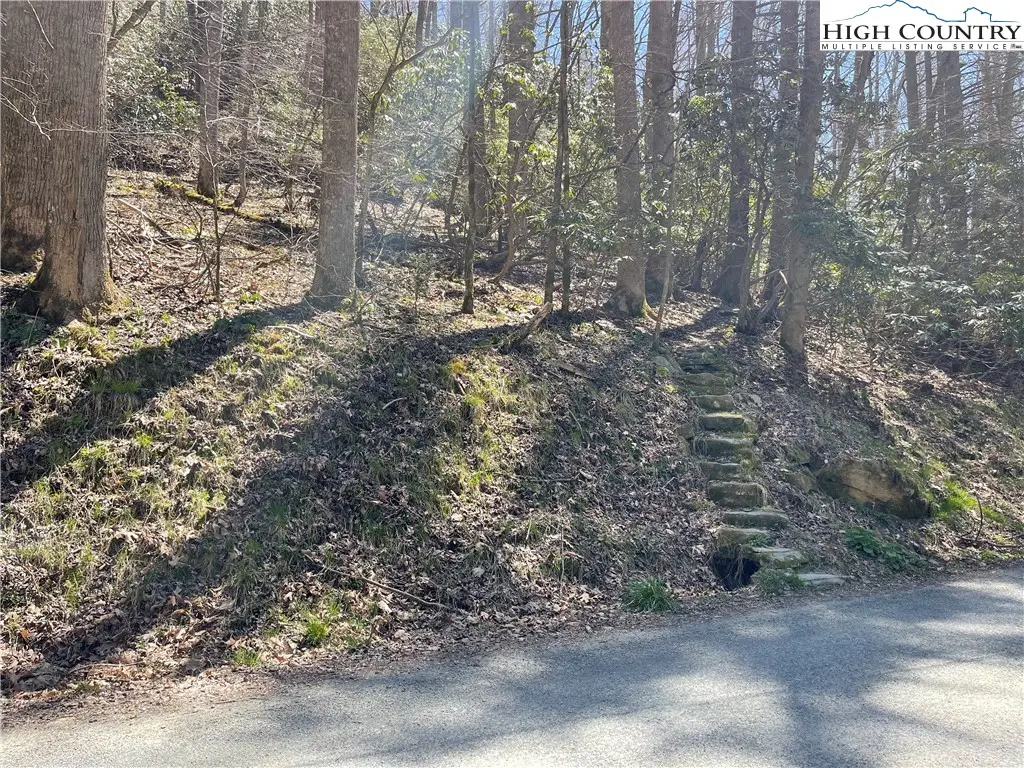 1 Rubin Walker Road, Vilas, NC 28692 - Image #1