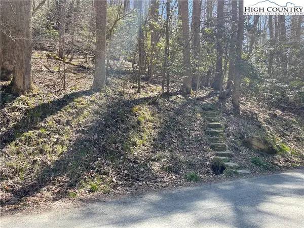 1 Rubin Walker Road, Vilas, NC 28692