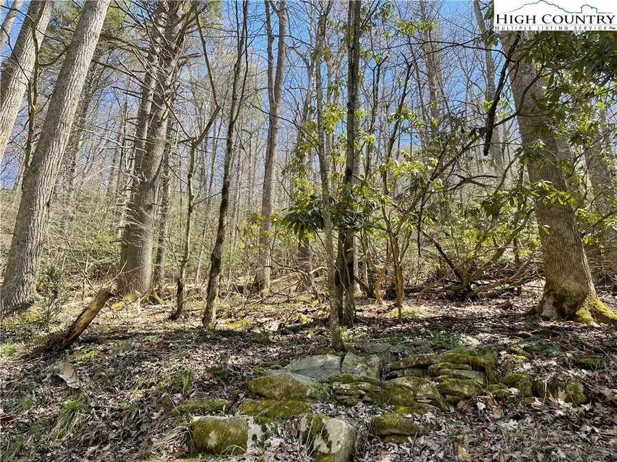 1 Rubin Walker Road, Vilas, NC 28692 - Image #2