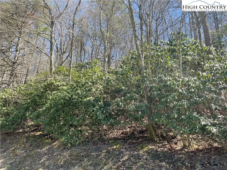 1 Rubin Walker Road, Vilas, NC 28692 - Image #3