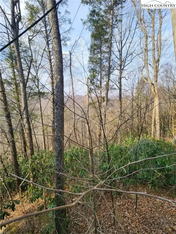 TBD Poplar Ridge Road, Boone, NC 28607 - #2