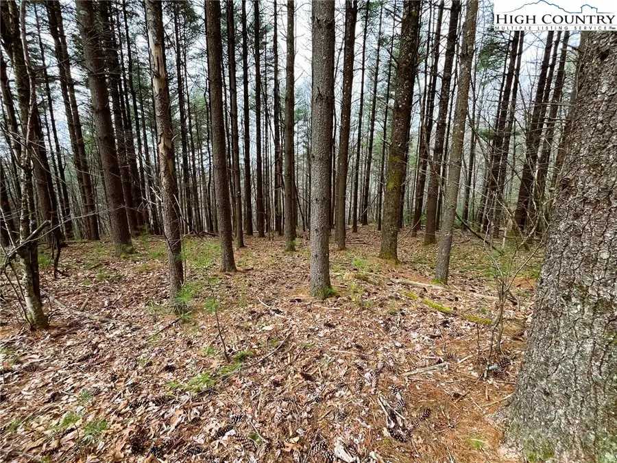 Lot #25 Cedar Ridge Drive, Todd, NC 28684 - Image #2