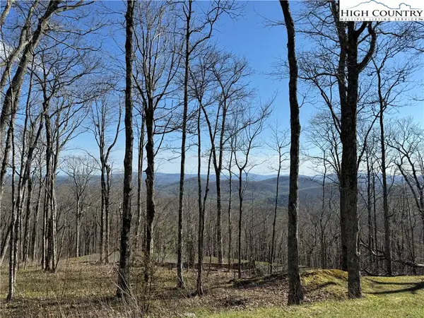 TBD Elk Creek Mountain Parkway, Todd, NC 28684