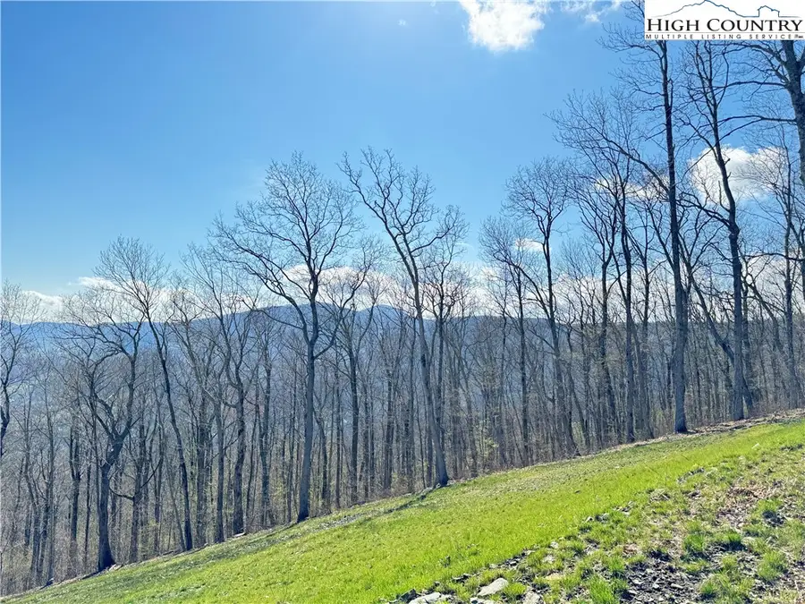 TBD Elk Creek Mountain Parkway, Todd, NC 28684 - Image #3