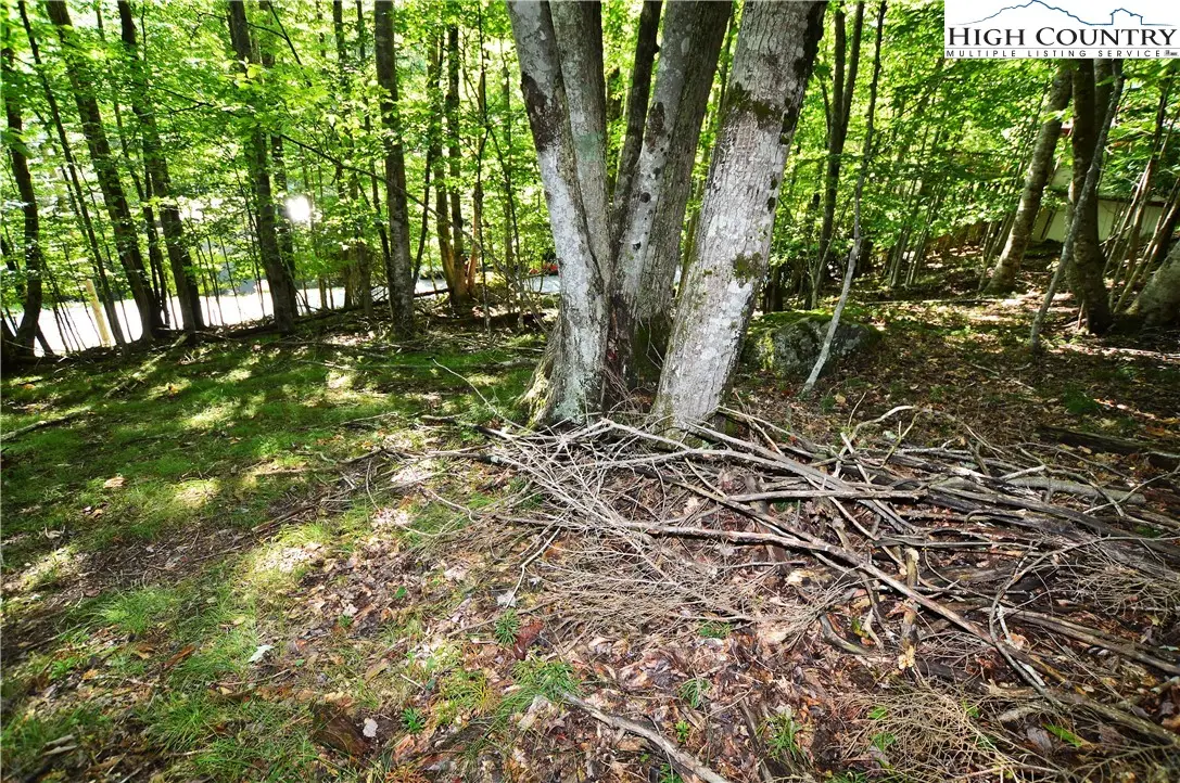 307 and 309 Overbrook Trail, Beech Mountain, NC 28604 - Image #1