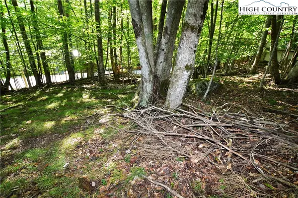 307 and 309 Overbrook Trail, Beech Mountain, NC 28604