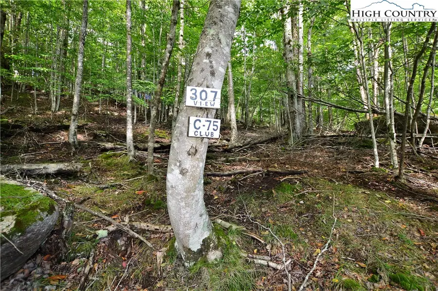 307 and 309 Overbrook Trail, Beech Mountain, NC 28604 - Image #2