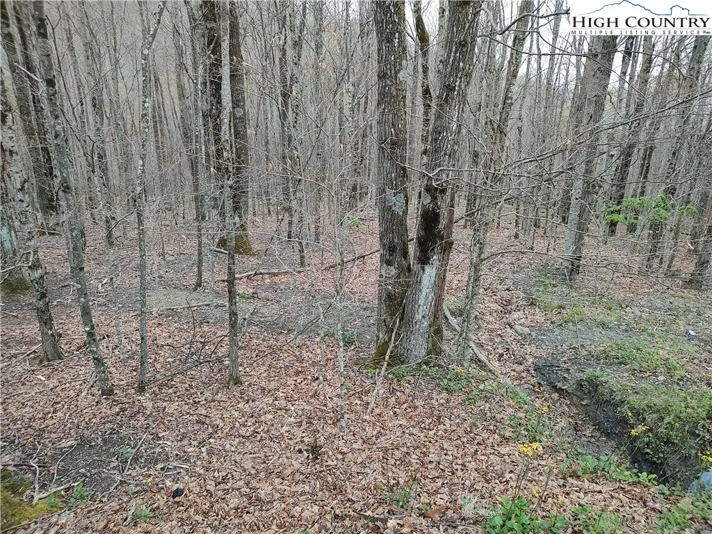 309 Pine Ridge Road, Beech Mountain, NC 28604 - Image #1