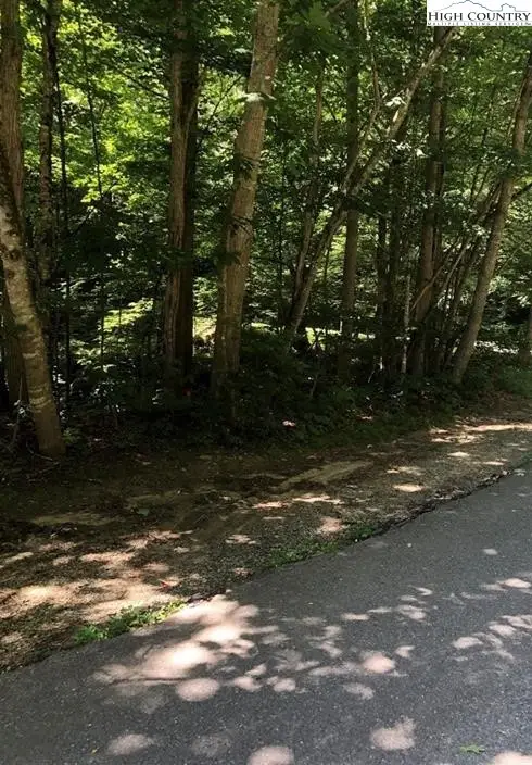 TBD Seven Oaks Road, Boone, NC 28607 - Image #2