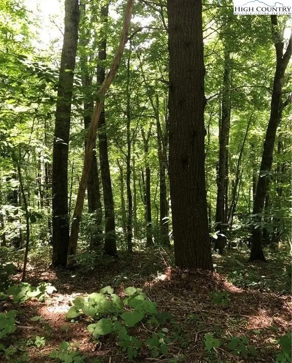 TBD Seven Oaks Road, Boone, NC 28607 - Image #3