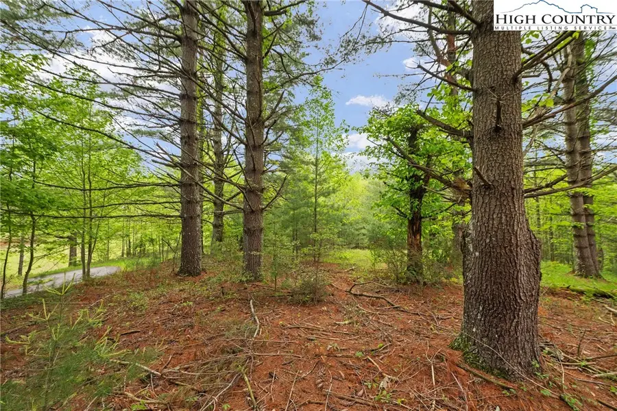 Lots 20 & 21 Noble Drive, Fleetwood, NC 28626 - Image #2