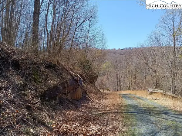 104 Beadwood Lane, Beech Mountain, NC 28604