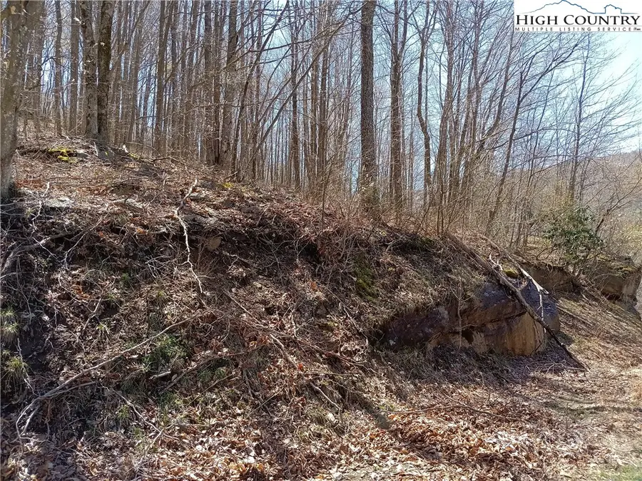 104 Beadwood Lane, Beech Mountain, NC 28604 - Image #2